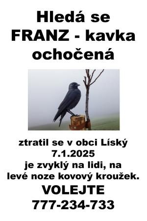 Hledá se FRANZ